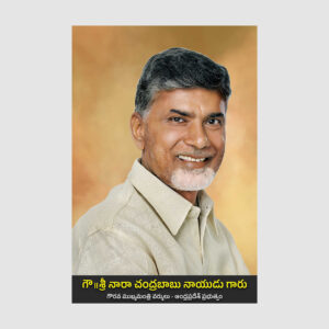nara chandra babu naidu